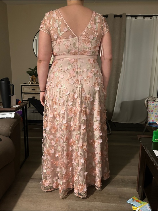 Xscape Dresses & Skirts - Xscape Blush Pink Floral Appliqué Maxi Dress